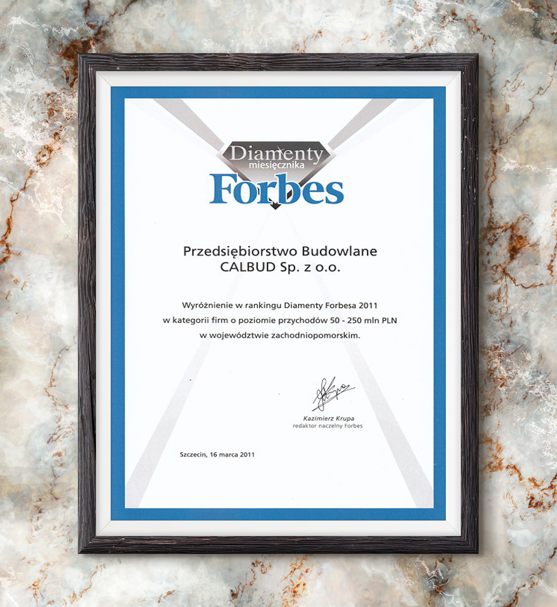 Diamenty Forbesa 2011 - wyróżnienie